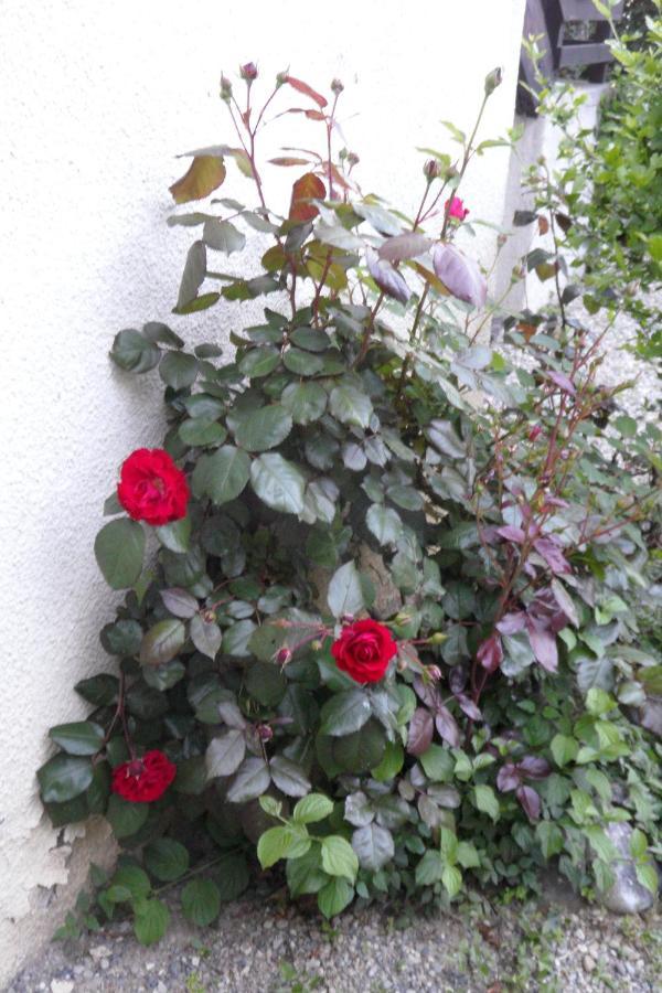 Les Fougeres Bed & Breakfast Sevrier Exterior photo